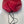 +10c/50f Apex Summer Quilt / Winter OverQuilt [Long]