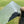Zero G 8.5ft x 10ft Flat Tarp